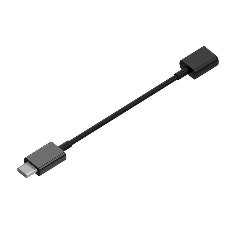Rayz Pro USB-C Adapter angled